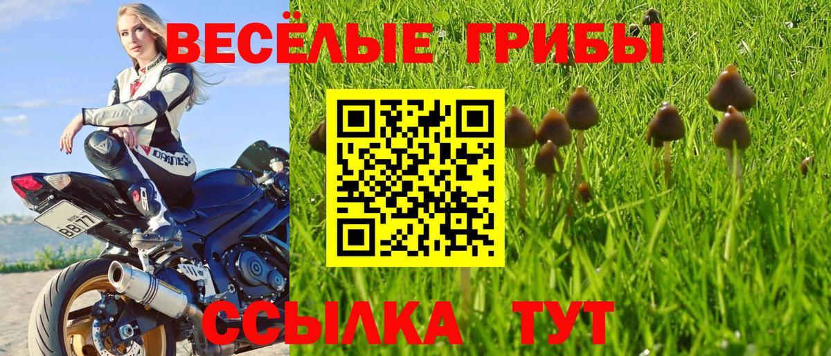 Псилоцибиновые грибы MAGIC MUSHROOMS Ачинск