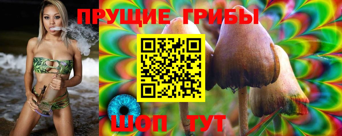 Ачинск  Псилоцибиновые грибы мицелий  Вход с VPN 